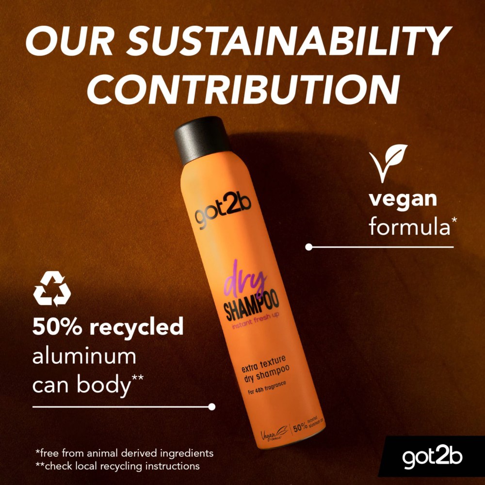 اسپری شامپو خشک گات تو بی مدل اکسترا تکسچر Schwarzkopf Got2b Extra Texture Dry Shampoo
